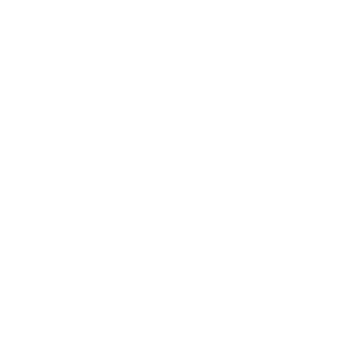 Animated Icon